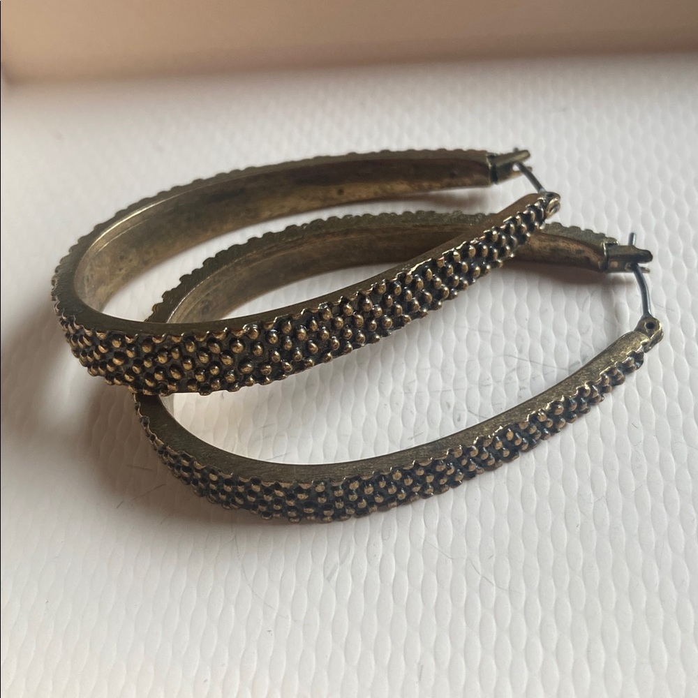 Elegant Gold Hoop Earrings